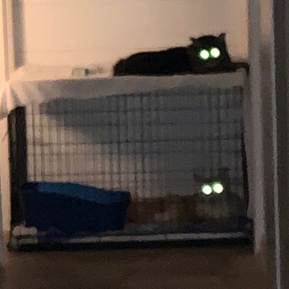 Namaste - Picture 11 of 16